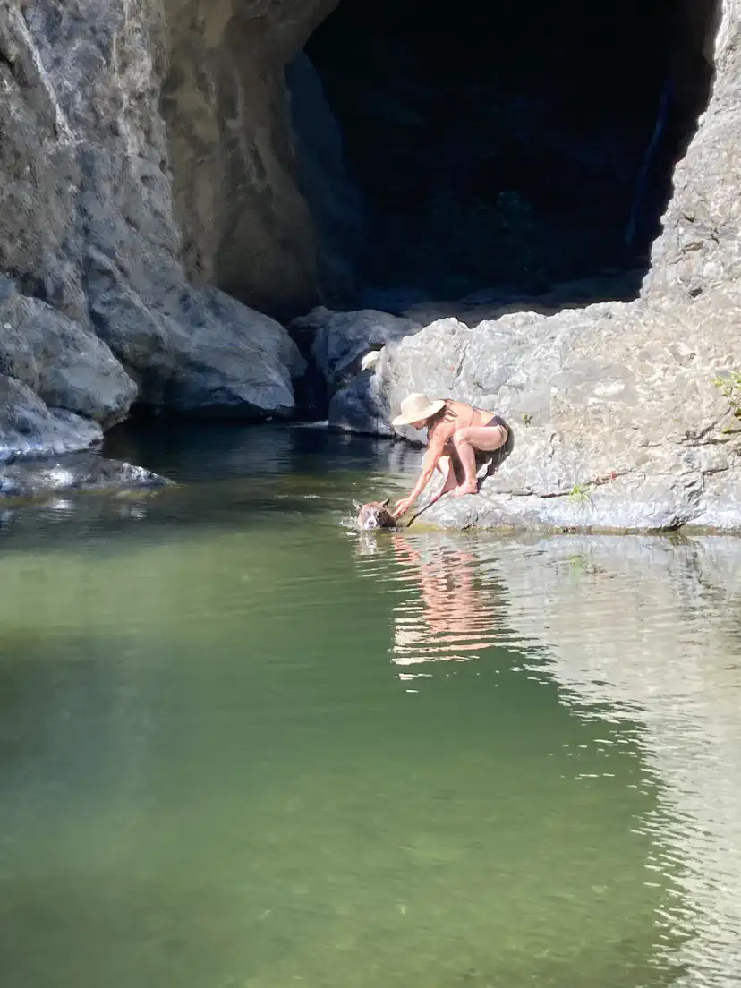 Petra conoce el condado