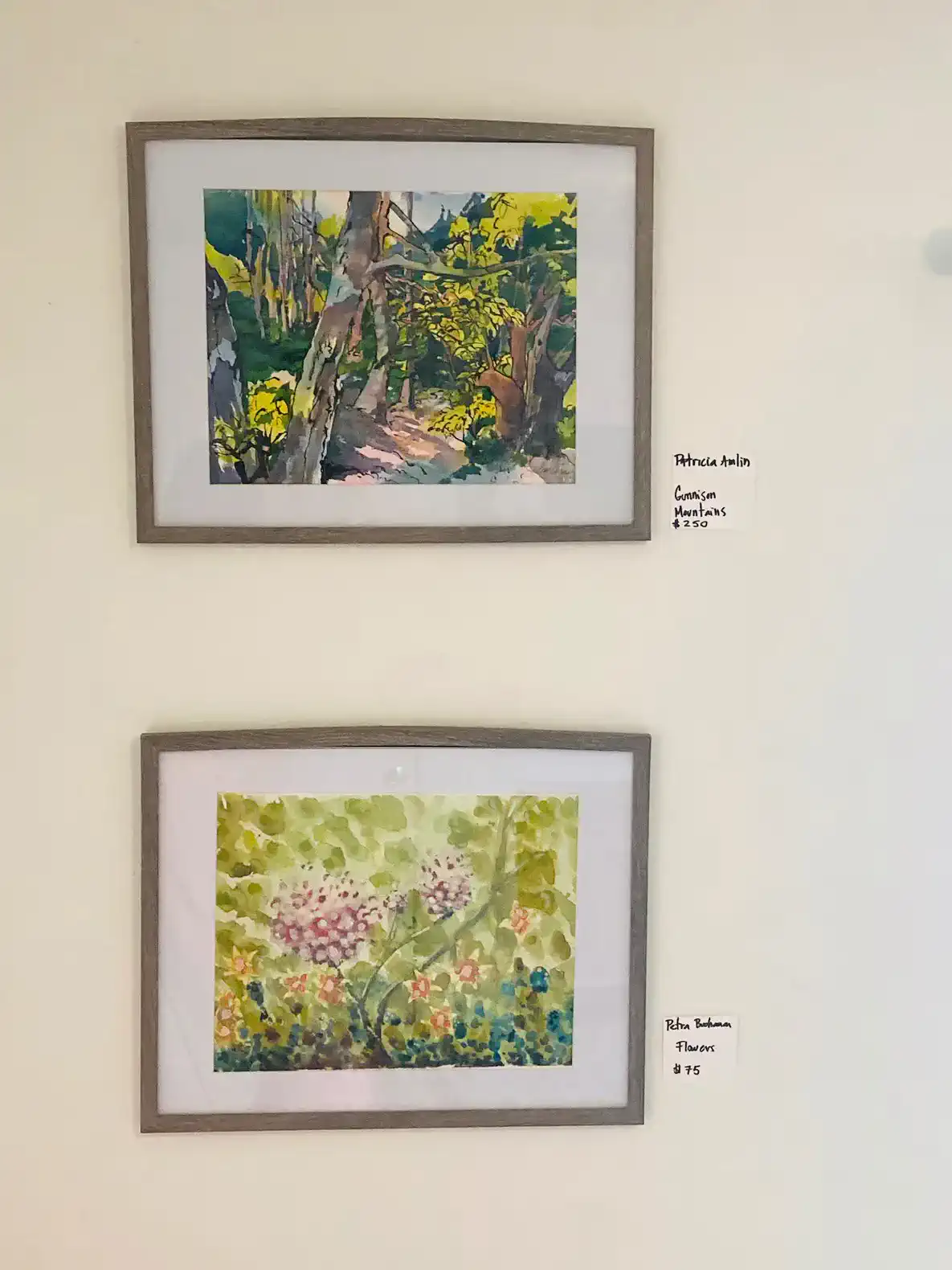 Patricia Amlin and Petra Buchanan watercolors.