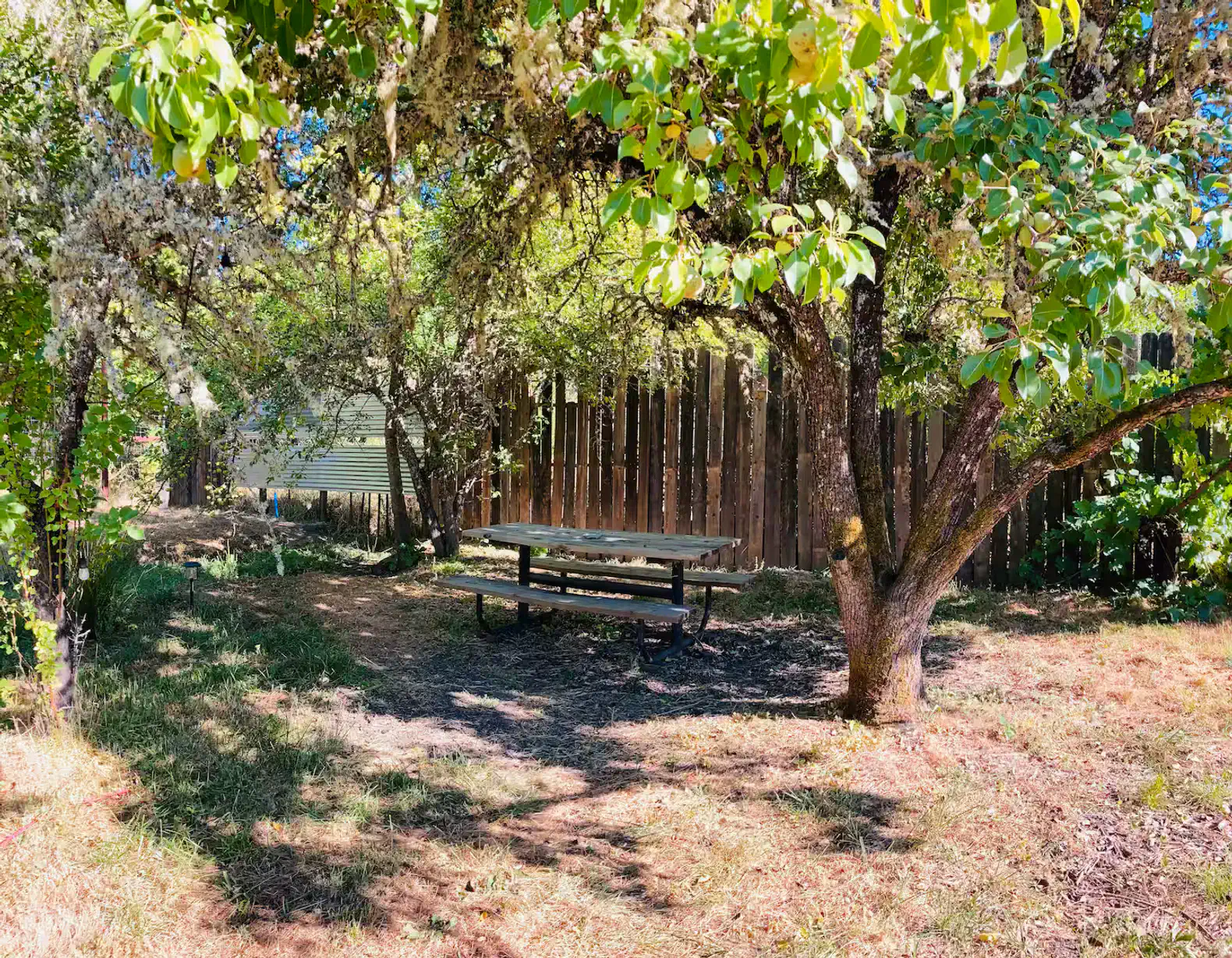 Redwood Spa Haven photo 2