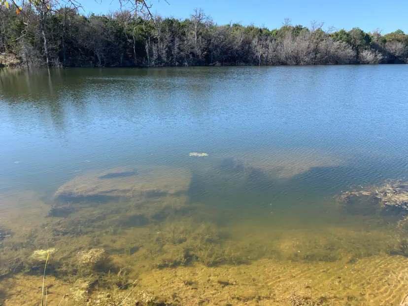 Clear enough to watch the fish take the bait