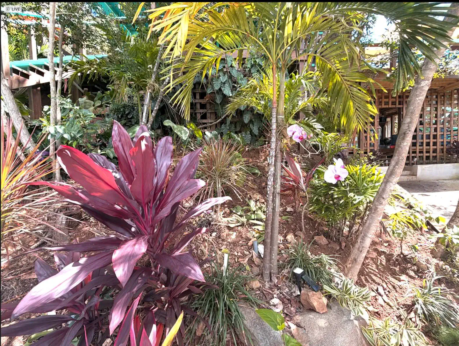 Lush tropical garden with vibrant plants and flowers surrounding the villa