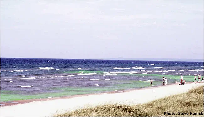 Safety Rip Currents at Gulf Shores and Orange Beach, AL