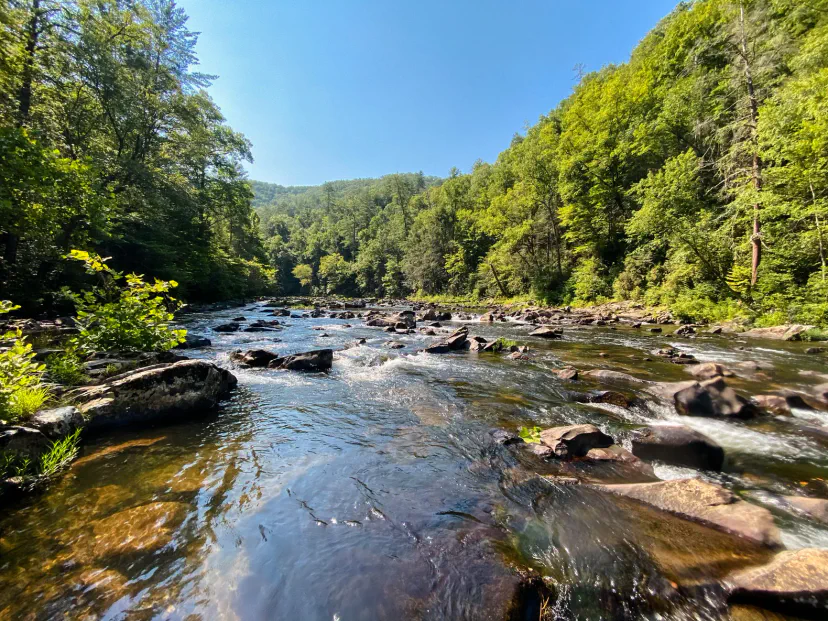 Cherokee National Forest