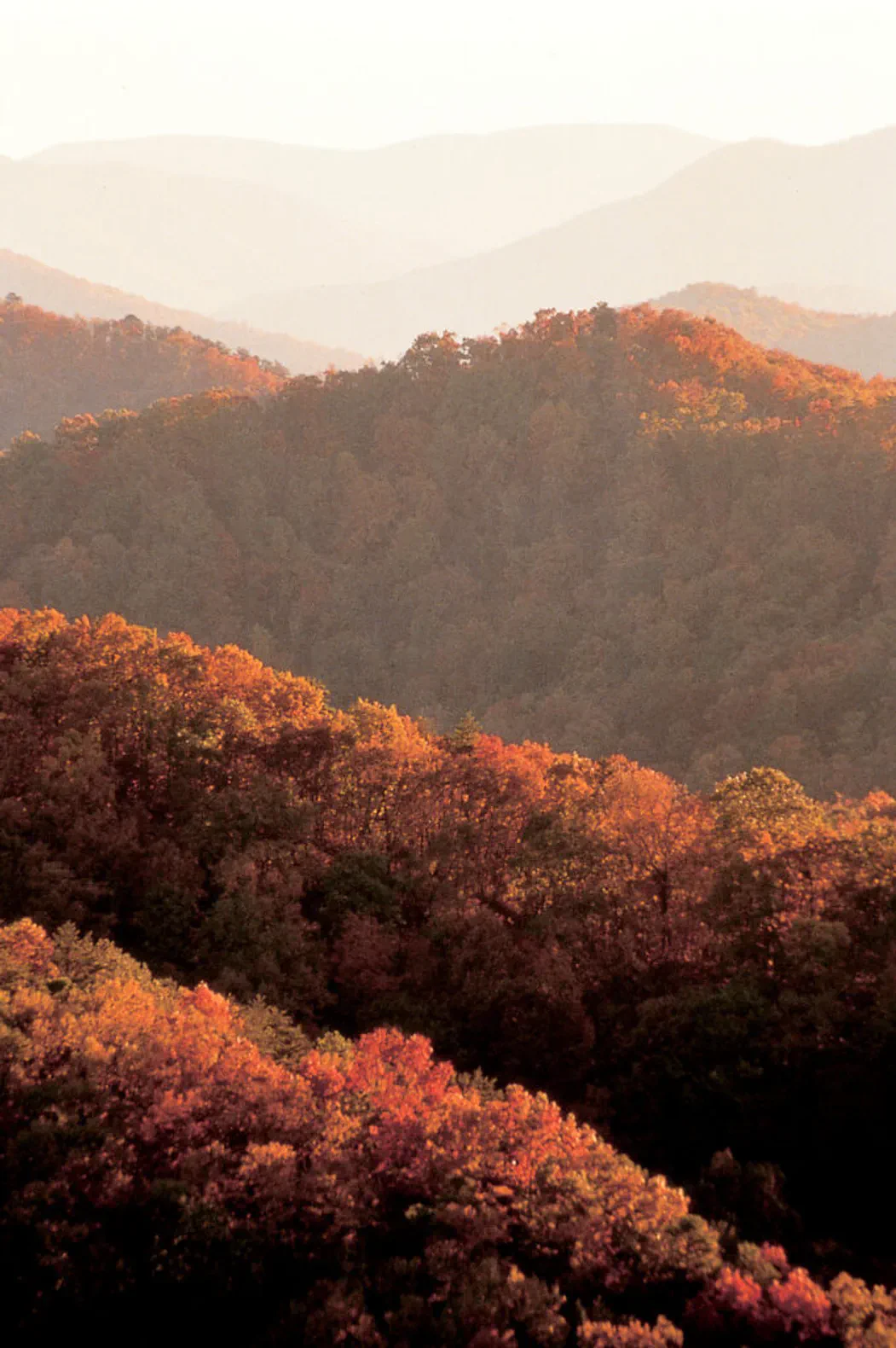 ¡Obtén el espíritu otoñal en el este de Tennessee! Eventos de septiembre-octubre de 2026