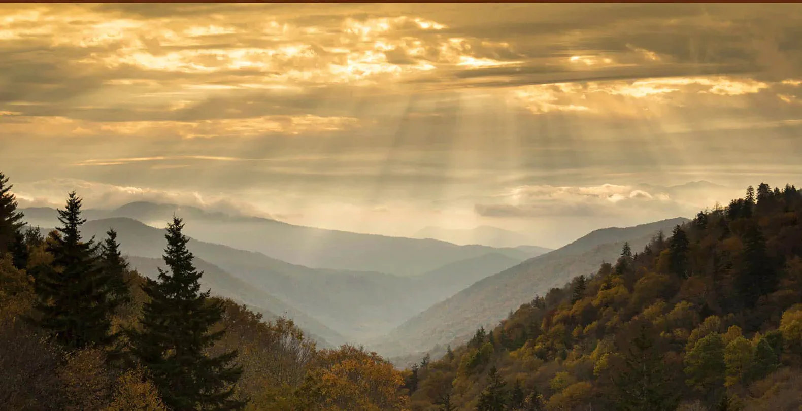 ¿Qué hace que Cades Cove sea tan mágico?