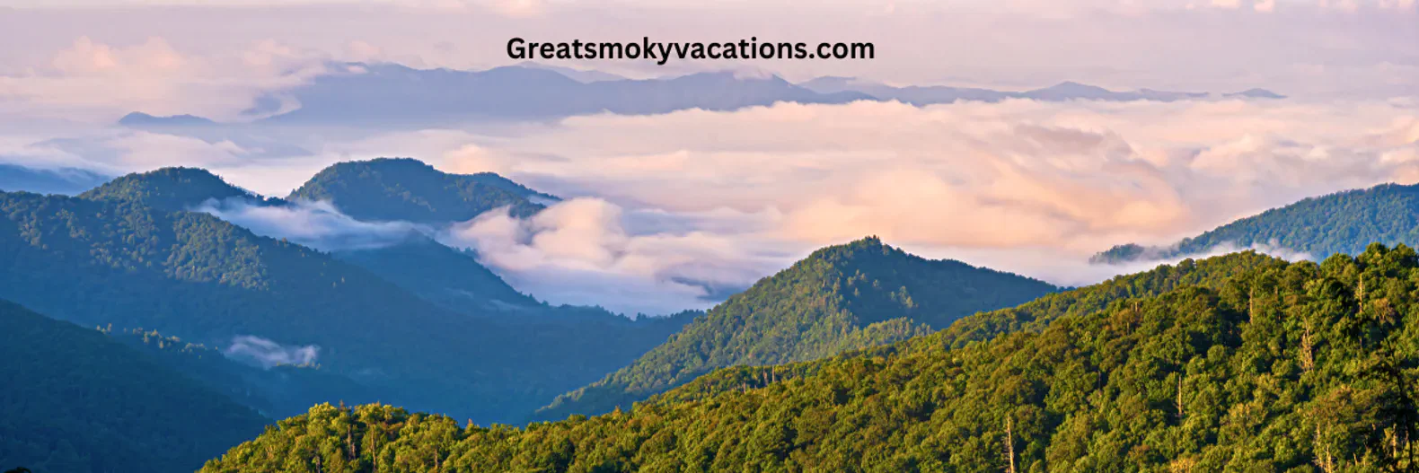 Memorable Cabin Stays in the Smokies