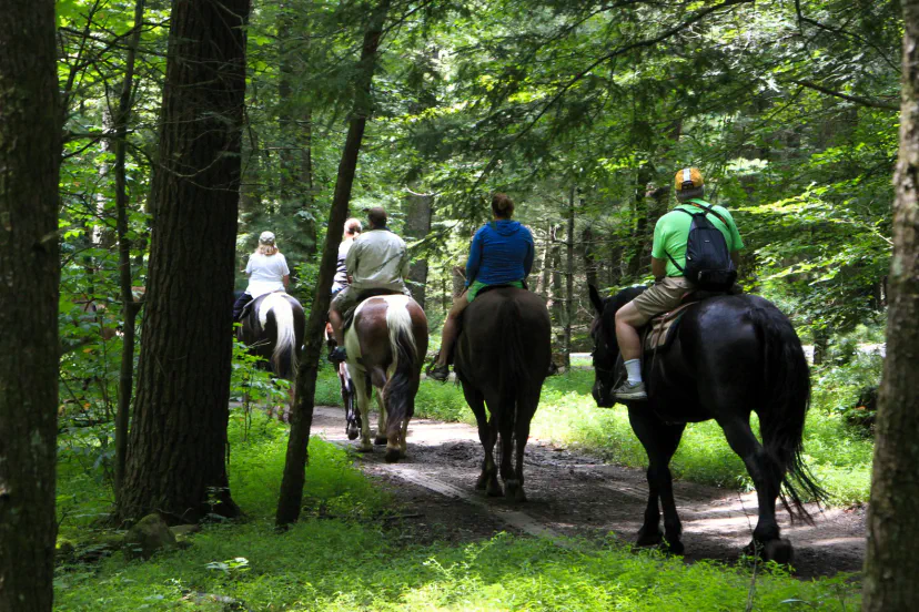 Horseback riding