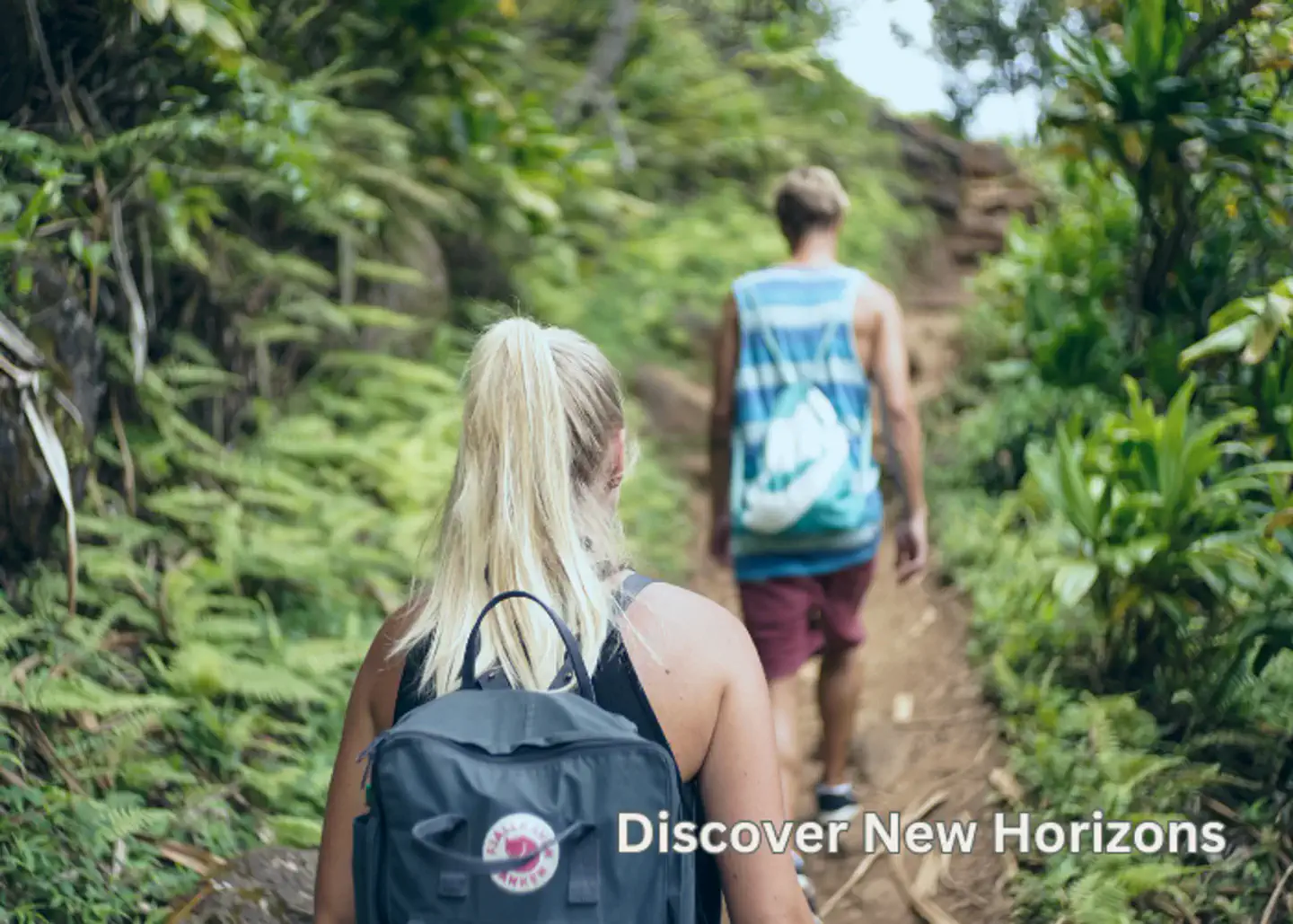 Hiking Trails in the Smoky Mountains