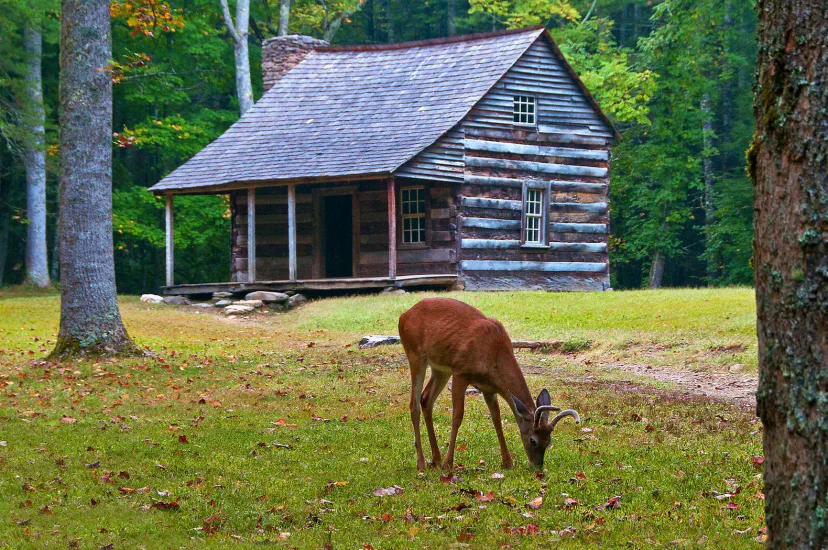 Hiking the Smokies