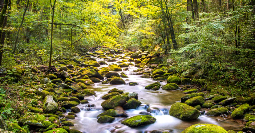 Great Smoky Mountains National Park