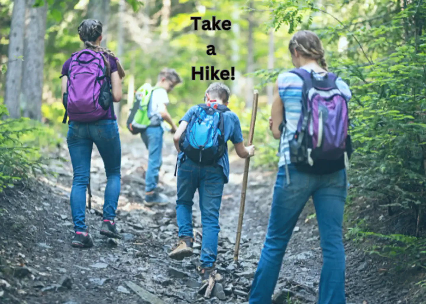 Hiking Ideas for your Great Smoky Vacation