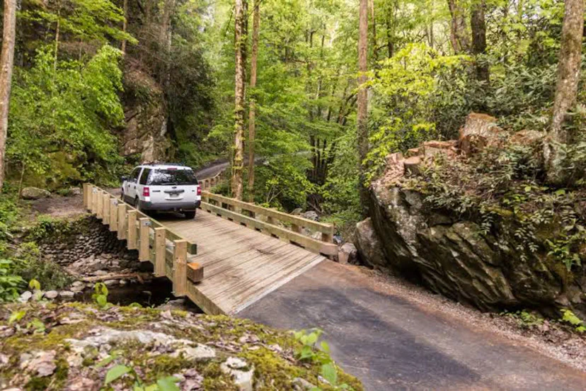 Roaring Fork Motor Nature Trail (Fahrt)