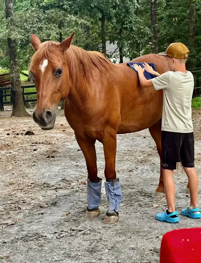 Kids Groom & Ride
