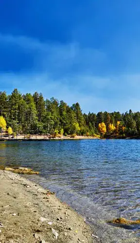 Pinetop Lakeside