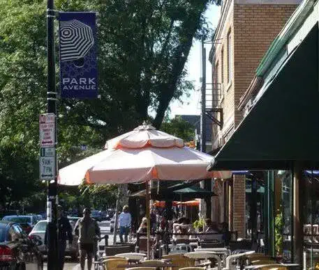 Park Avenue em Rochester: Um Bairro Encantador para Explorar