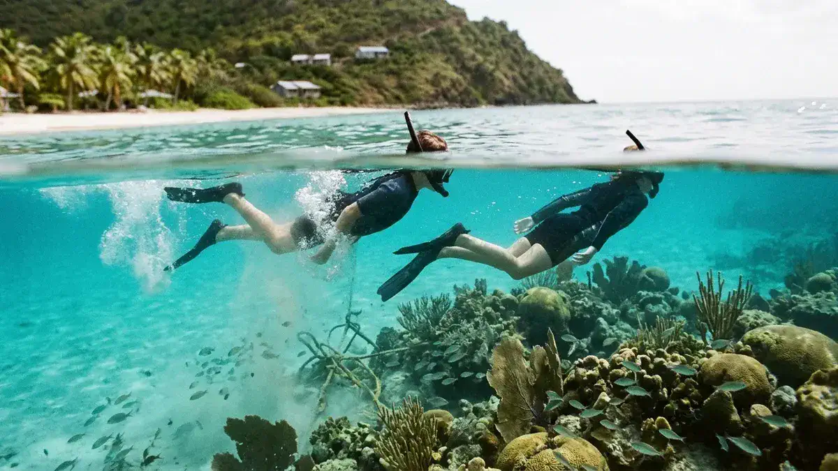 Snorkelers over a Coral Bay reef, a warm-water break after the best seafood Gloucester offers