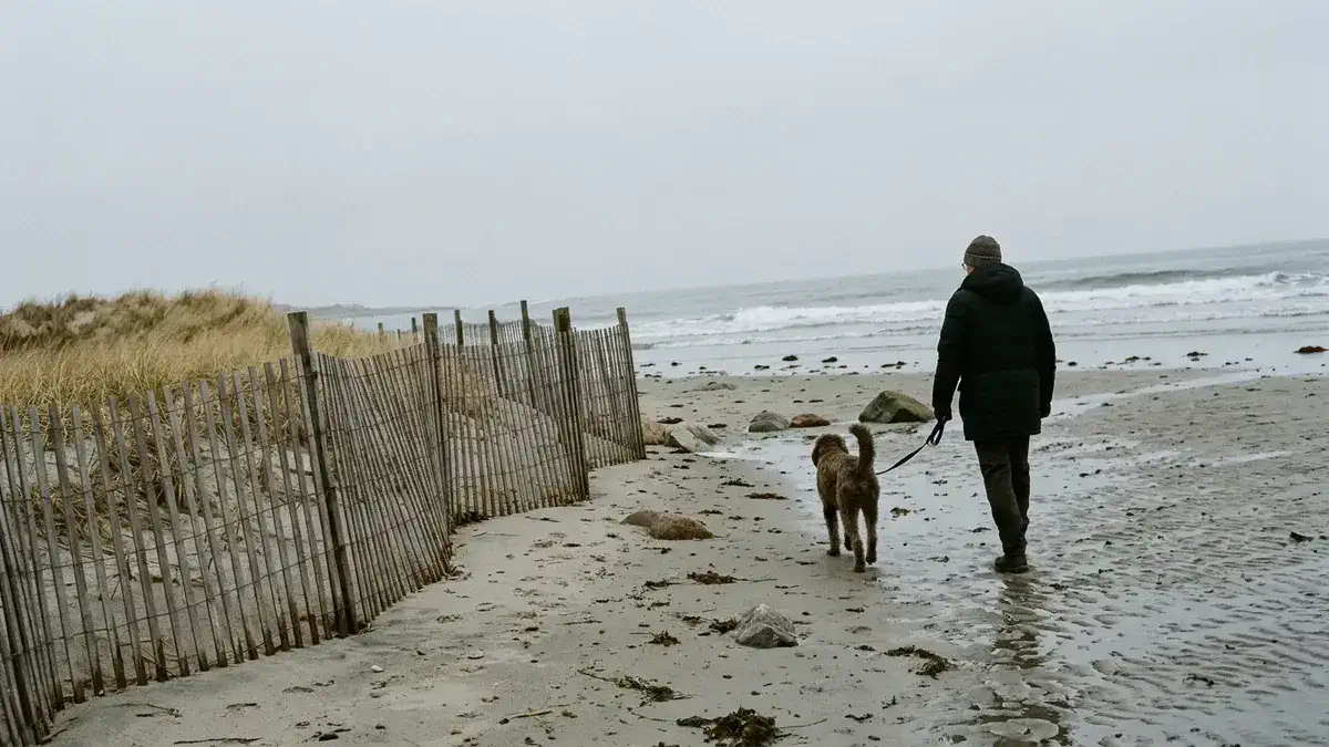 Winter morning at a Cape Ann beach, when dogs are allowed on Good Harbor Beach