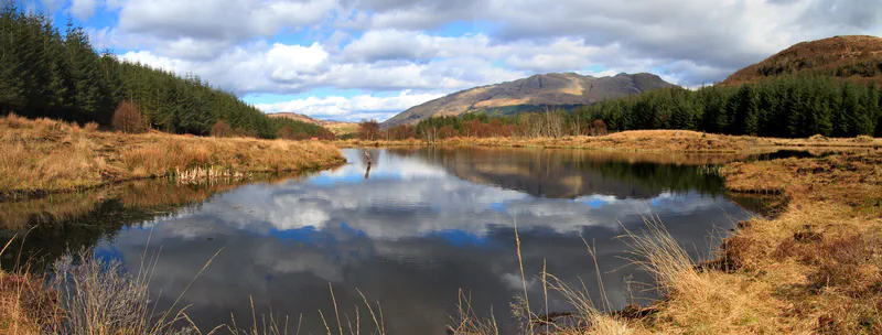 Highland Titles Nature Reserve