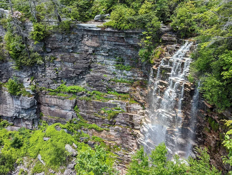 Local Hiking Trails and Recreation