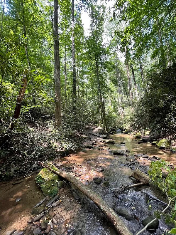 Cooper Creek Trail