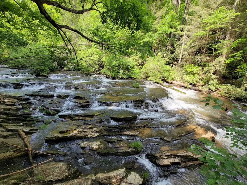Scenic Biking Trails Near Ellijay