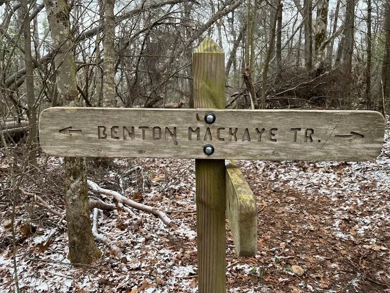 Springer Mountain Trail