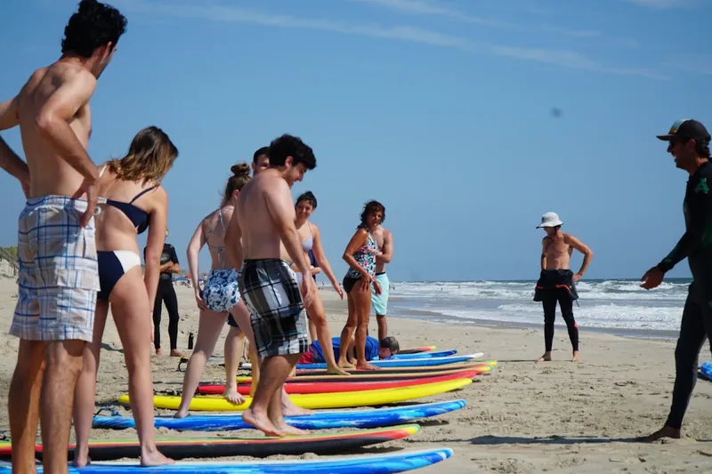 Surfing Lessons for All Levels