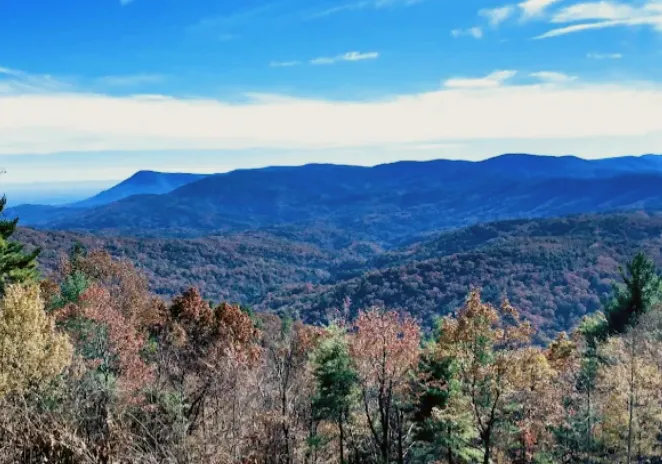 Cohutta Wilderness Area