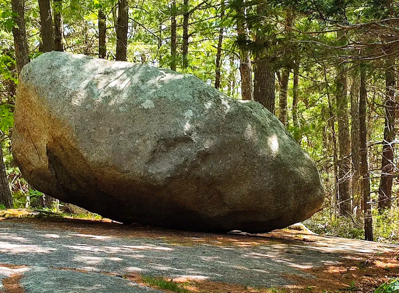 Explore Nature Trails Around Gloucester, MA