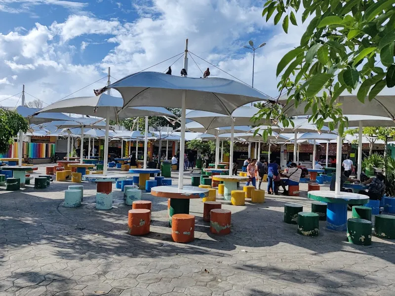 Activities with Your Dog in Cancún