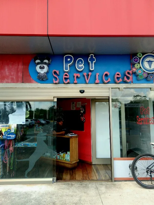 Pet Services Available in Cancún