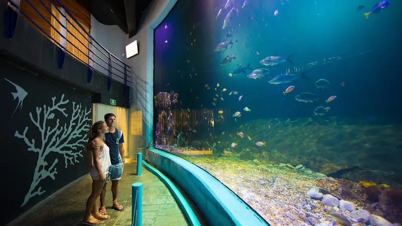 Exploring the Cancun Interactive Aquarium