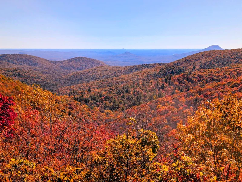 Outdoor Adventures in the Chattahoochee National Forest