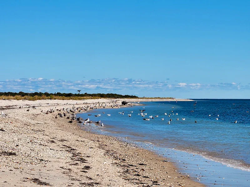 Outdoor Adventure at Orient Beach State Park