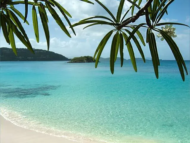 Intimate Evening in Paradise